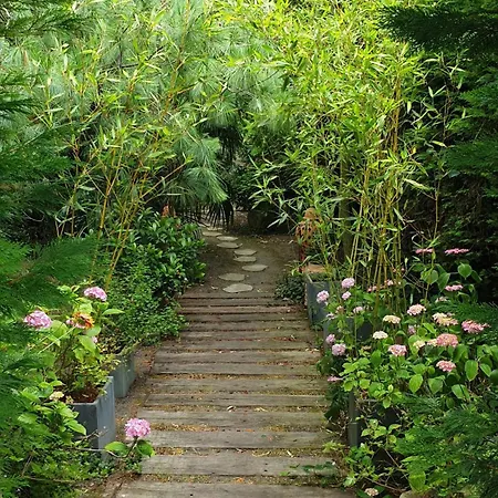 D'hotes - Le Nador 4*