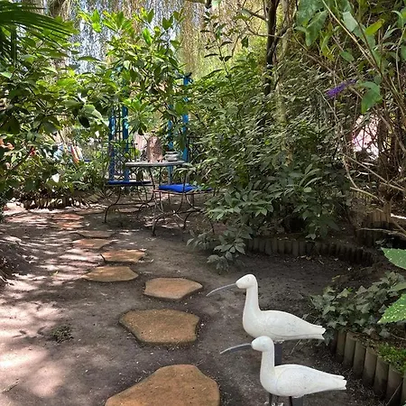 D'hotes - Le Nador 4*