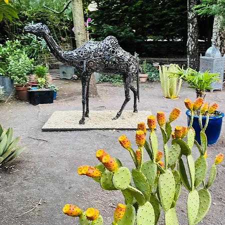 Konukevi D'hotes - Le Nador 4*